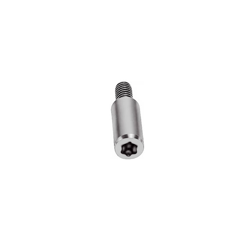 Torx-Adjustable Spring Bar Tool