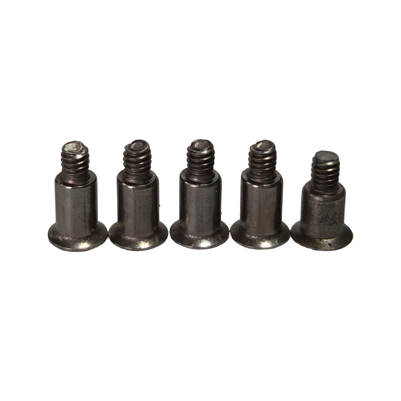 Torx Step Screw (Shoulder Screw)