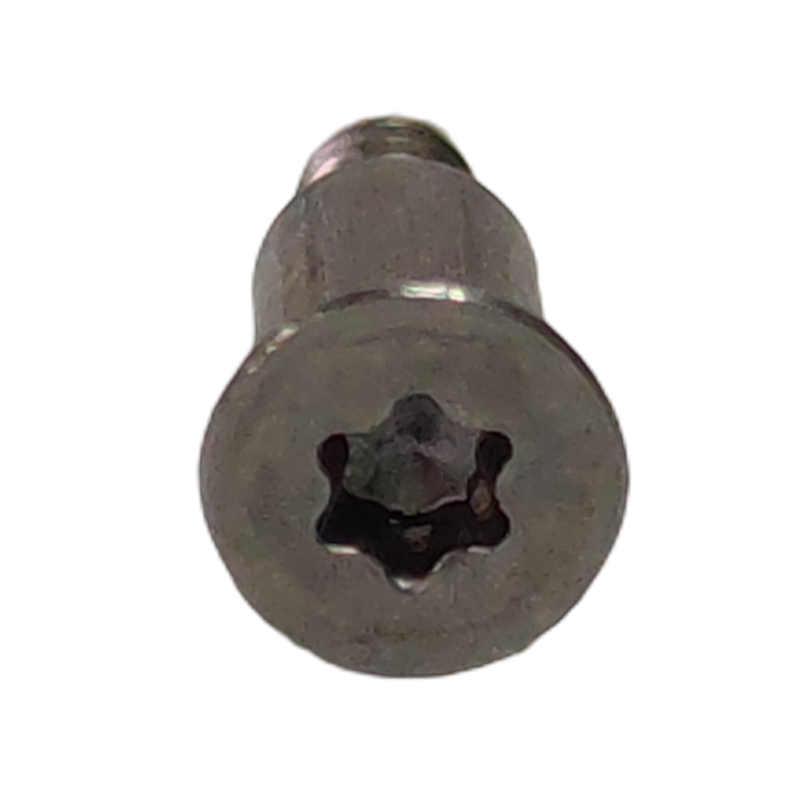 Torx Step Screw (Shoulder Screw)