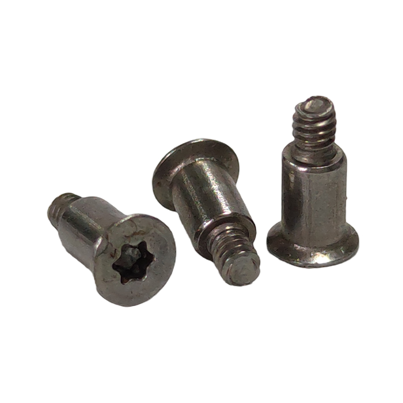 Torx Step Screw (Shoulder Screw)