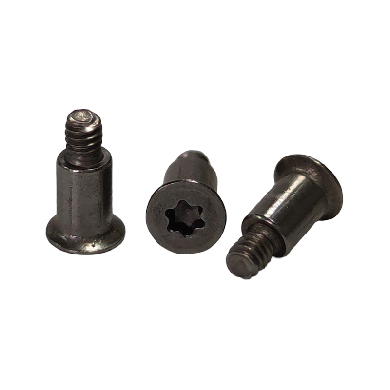 Torx Step Screw (Shoulder Screw)